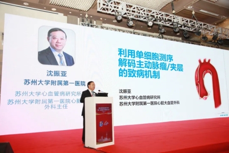 蘇州大學(xué)心血管病研究所所長(cháng)、蘇州大學(xué)附屬第一醫院心臟大血管外科主任沈振亞教授作報告
