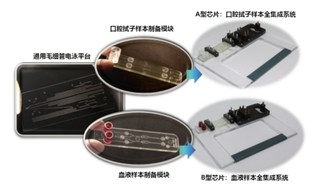 獨創(chuàng  )的基于微流控毛細管電泳技術(shù)的模塊化集成芯片卡盒